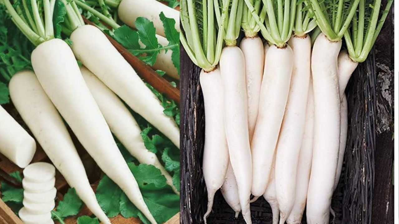 Never Eat These Foods with Radish, It Can Poison Your Body and Make You Sick