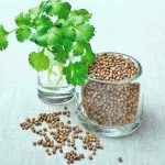 Coriander for Weight Loss: How This Simple Herb Supports Your Health