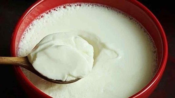 Curd in Winter: Healthy Choice or Hidden Risk?