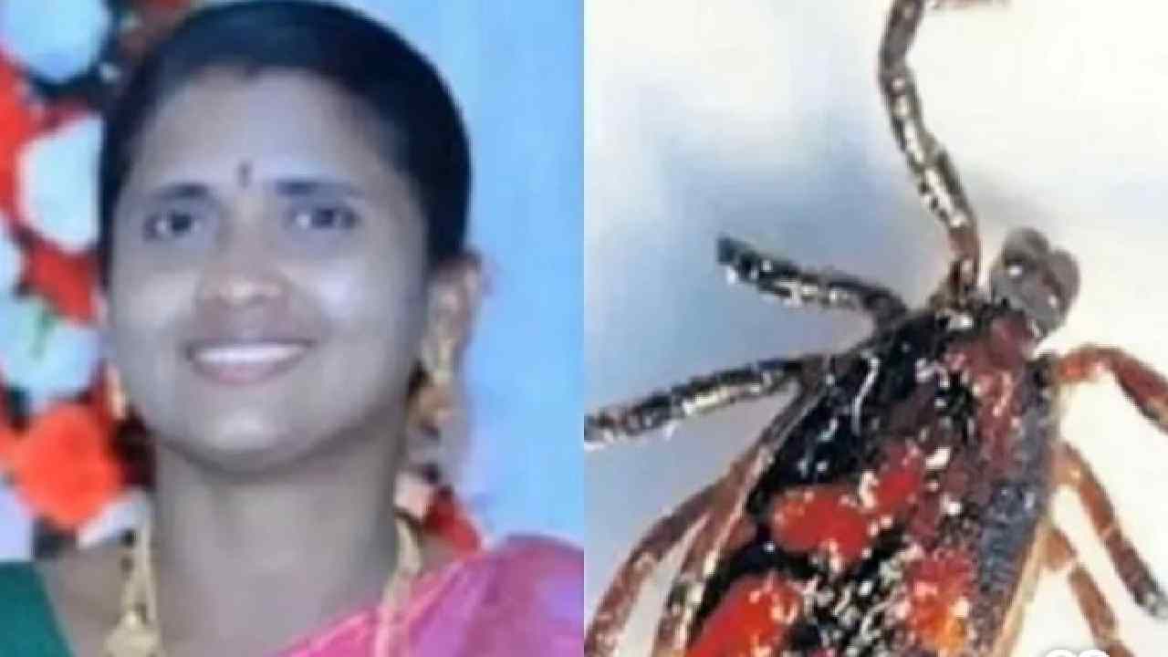 Woman Dies of Scrub Typhus in AP, Another Case Reported