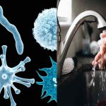 Top 7 Precautions to Prevent Frequent Viral Infections