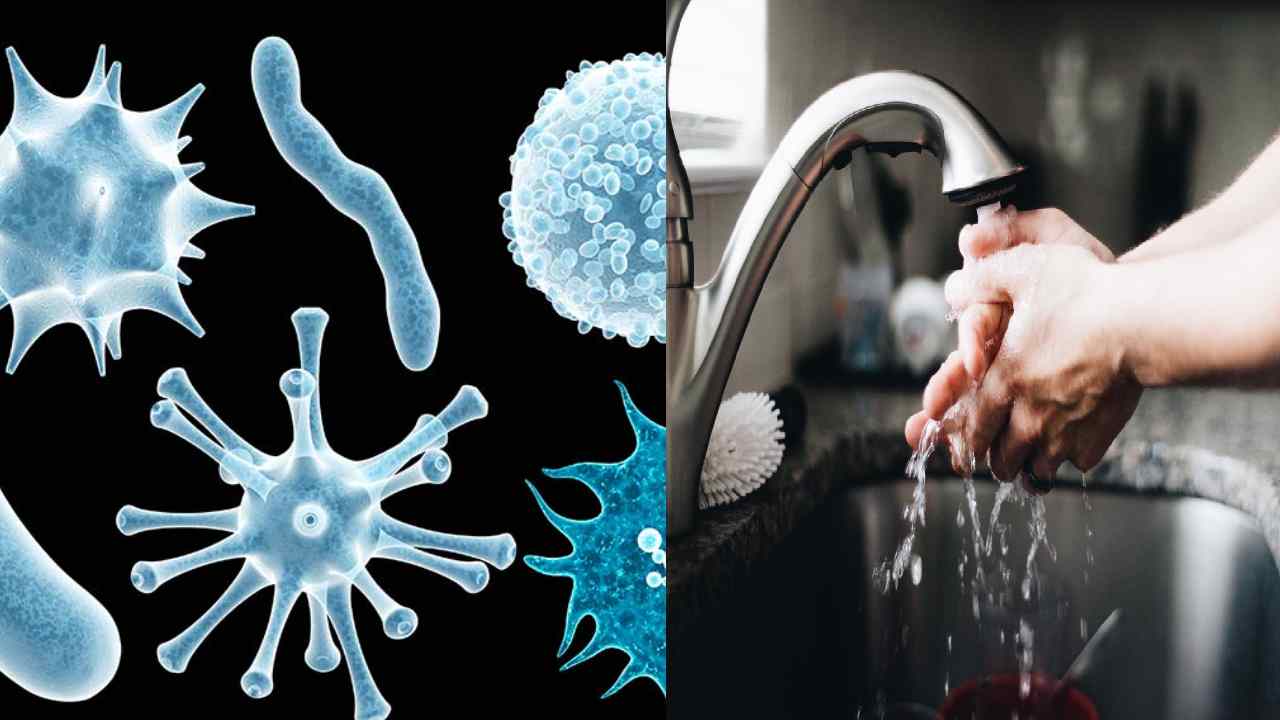 Top 7 Precautions to Prevent Frequent Viral Infections